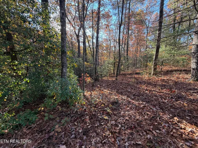 $89,900 | 133 Megan Trace Lane, Turtletown, TN 37391