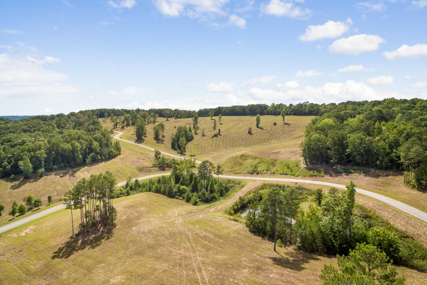 13 Reserve Subdivision Georgetown, TN 37336 - Photo 3 of 11
