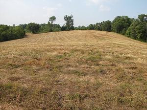 470 Gritton Road Salvisa, KY 40372 - Photo 89 of 96 Photo 91