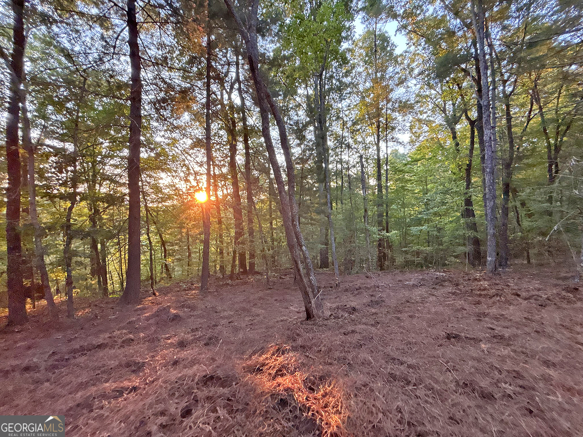 Lot 18 Mt Springer Road Ellijay, GA 30540 - Photo 19 of 31