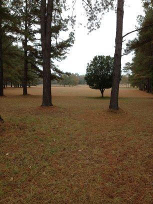 0 Prather Road Statesboro, GA 30461 - Photo 1 of 1 Gallery Image 1