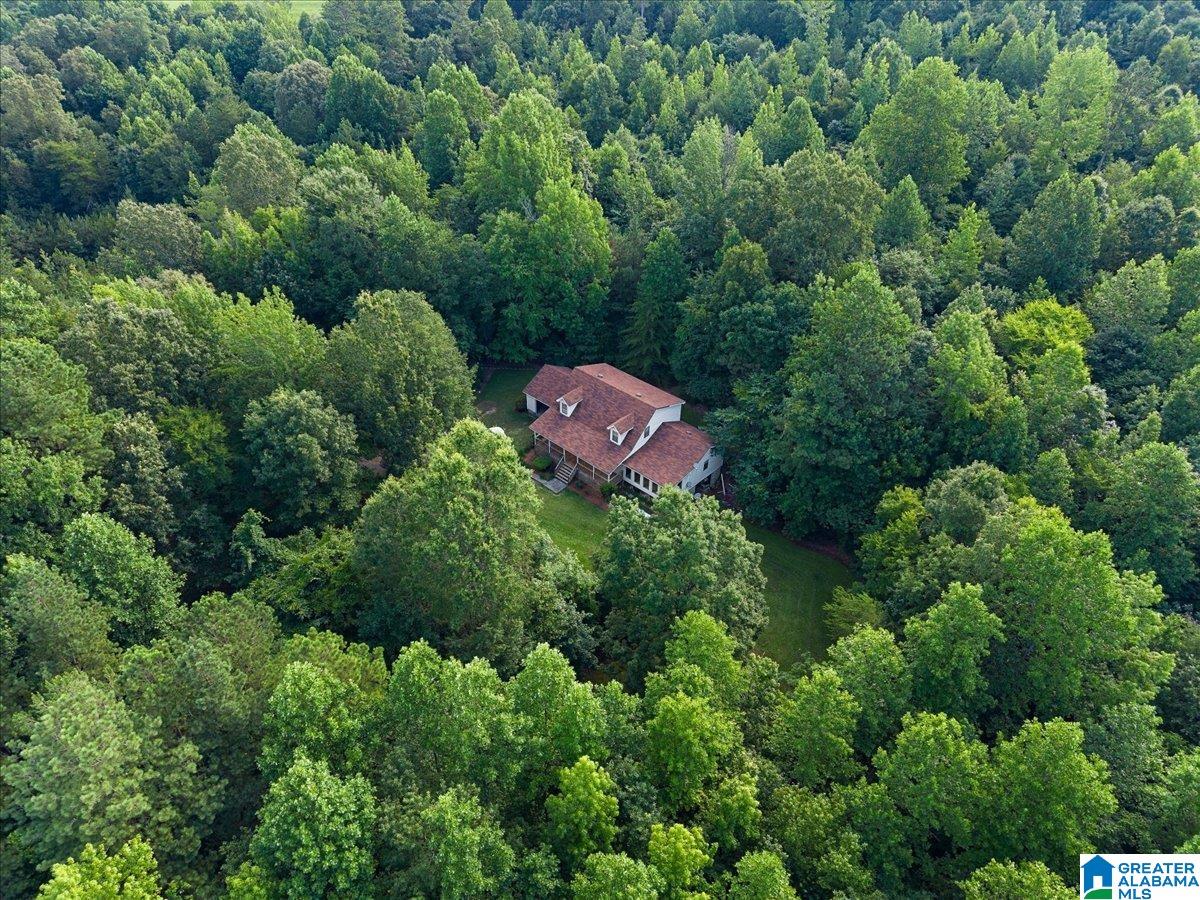 7950 Joy Road Blountsville, AL 35031 - Photo 31 of 35