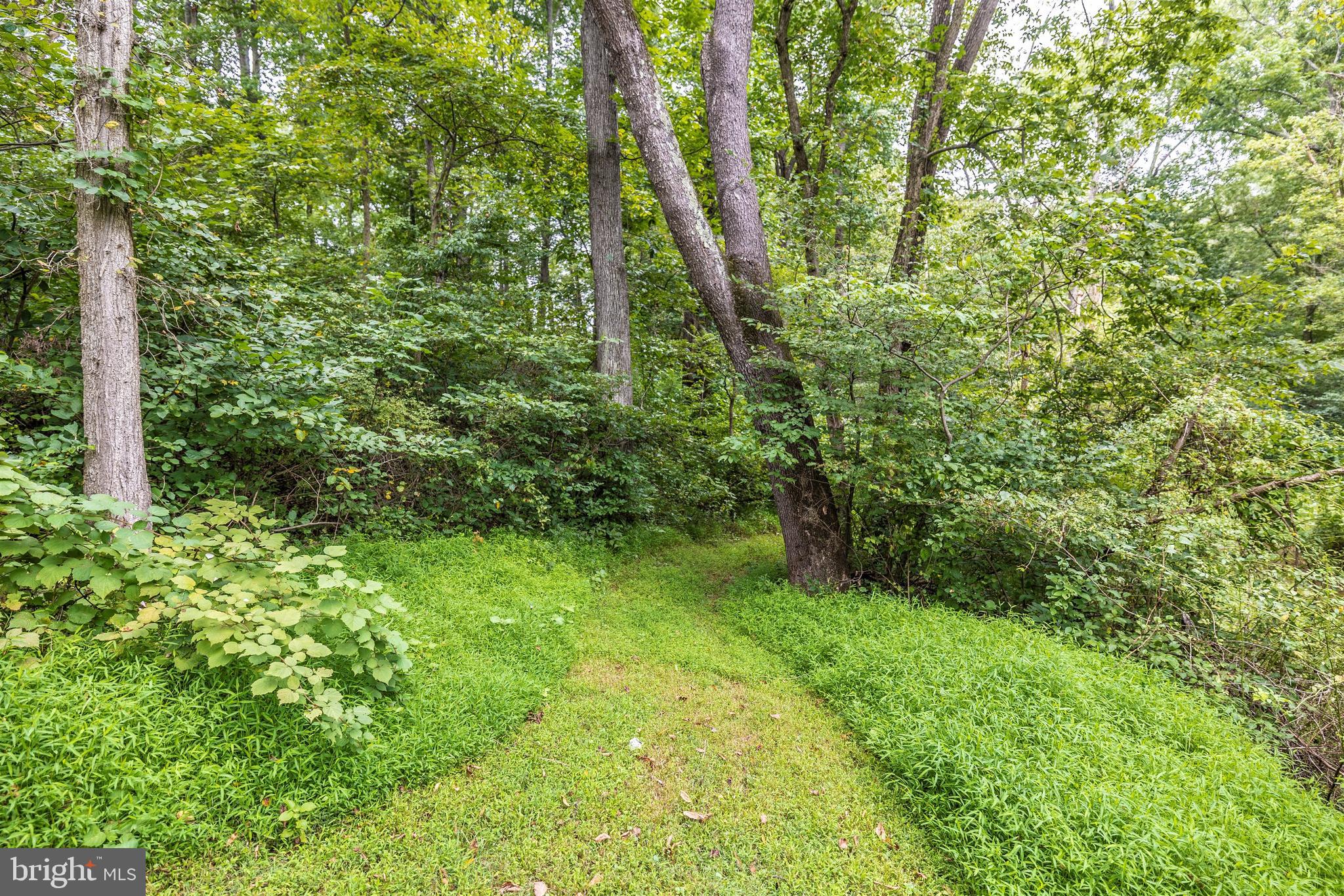 17500 Conoy Road Barnesville, MD 20838 - Photo 58 of 61