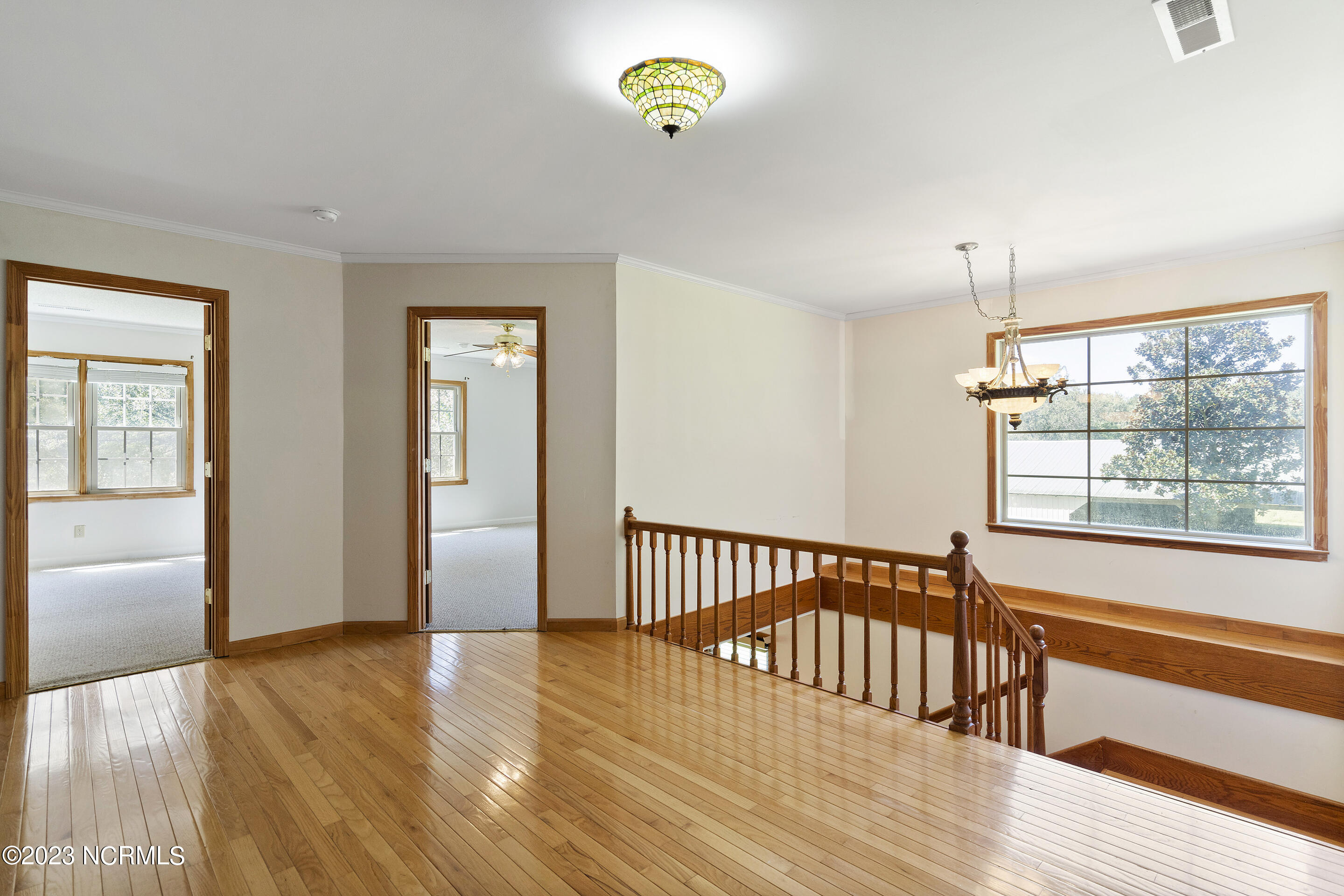 3686 Crooked Run Road Willard, NC 28478 - Photo 37 of 89 mls-DSC04702