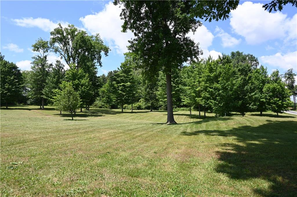 0 Westfield Road New Castle, PA 16120 - Photo 3 of 7 a view of a trees in a yard