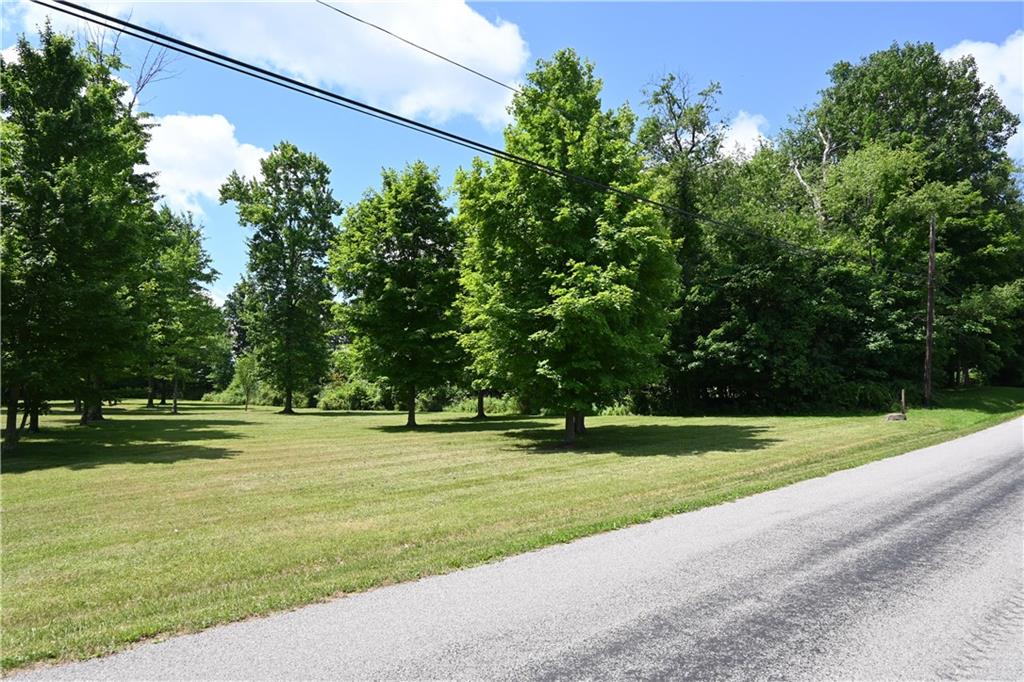 0 Westfield Road New Castle, PA 16120 - Photo 7 of 7 a yard with lots of trees and some trees