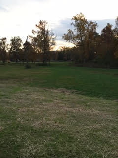 8450 Morin Road, Unit LOT 7 Chattanooga, TN 37421 - Photo 36 of 36 back yard