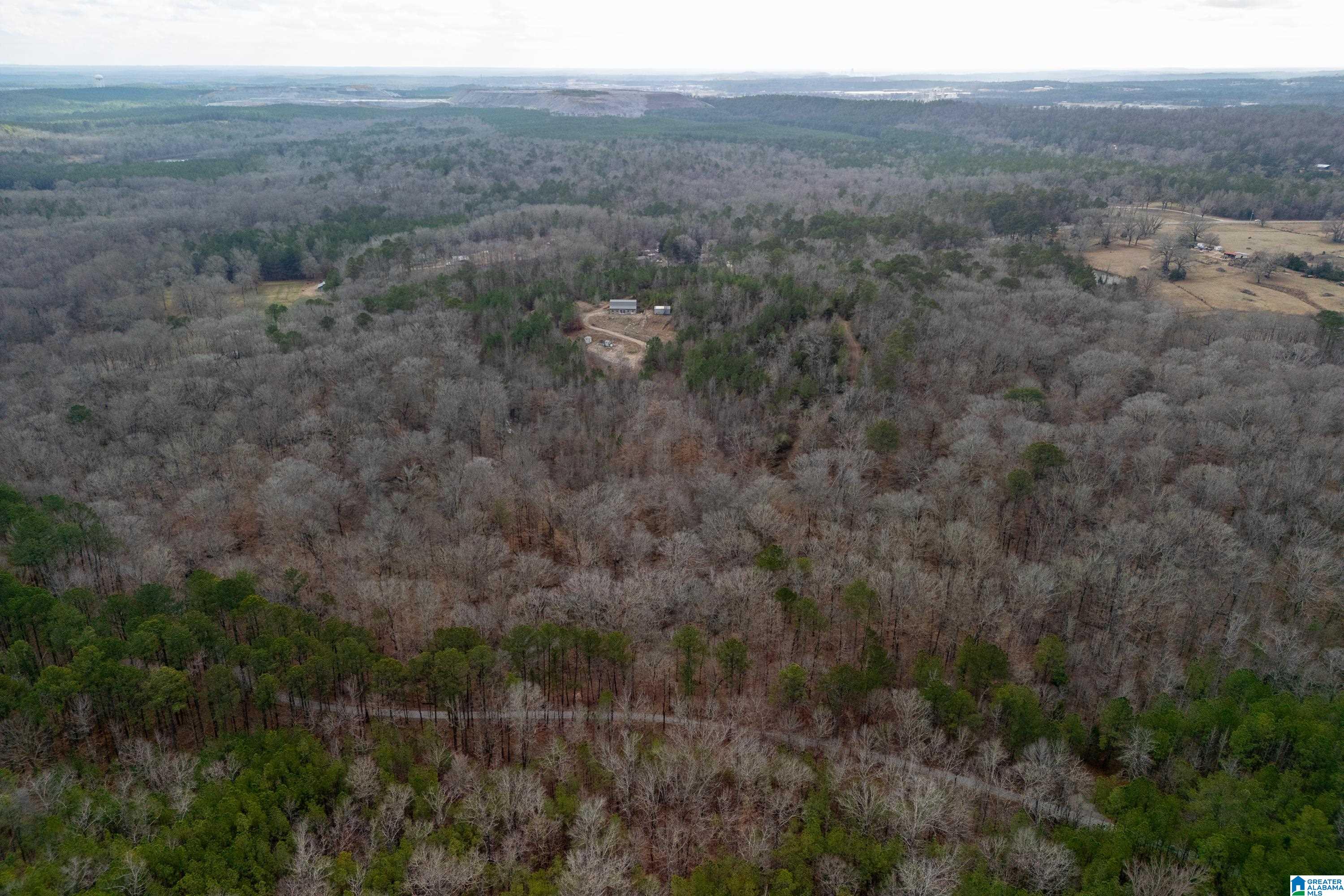 2885 Highway 26 Alabaster Al Alabaster, AL 35007 - Photo 30 of 43
