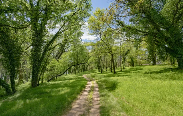 $1,125,000 | 1005 Luptonville Crossing, Lupton City, TN 37351