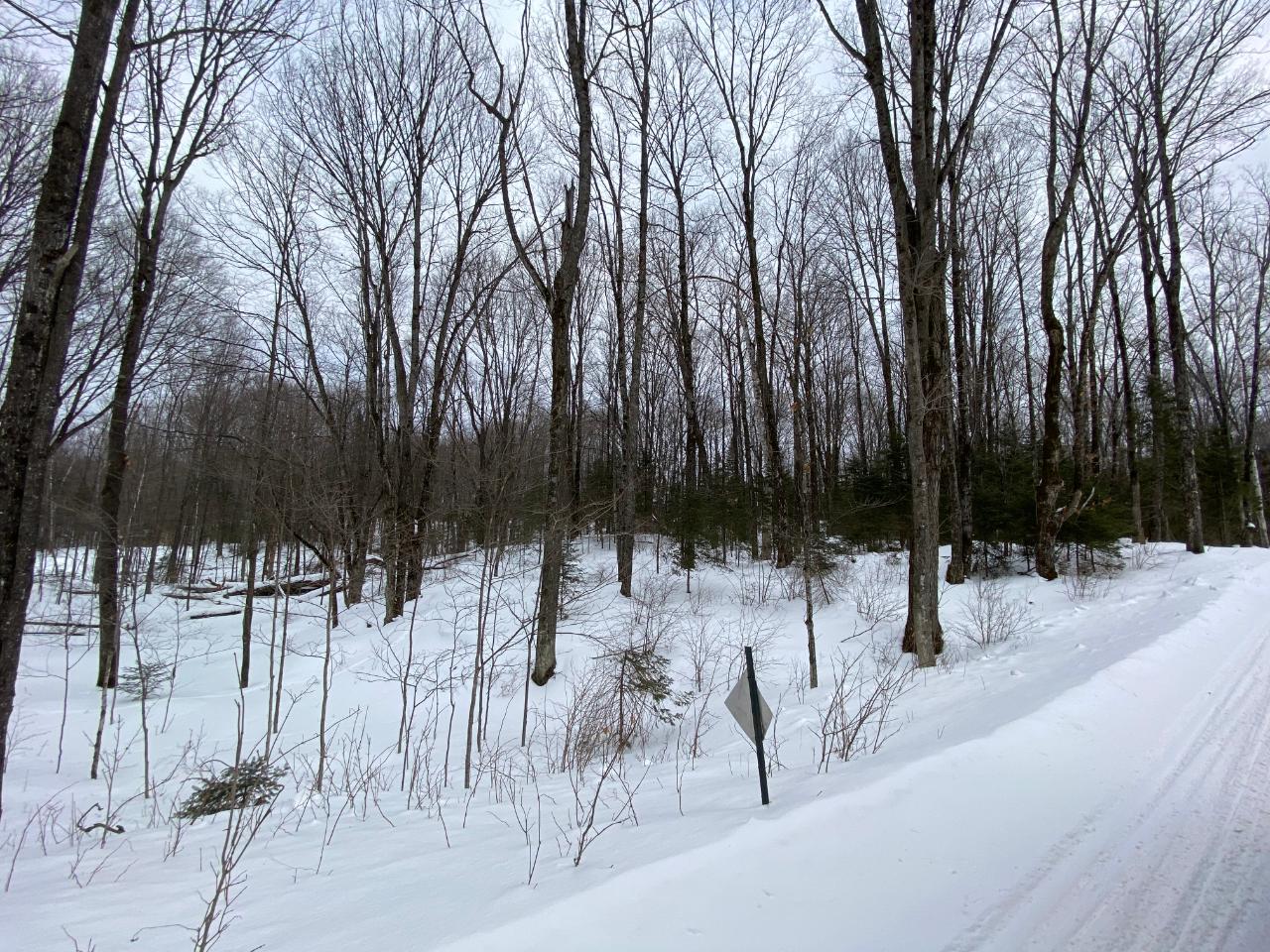 Three Steven Javenkowski Road, Unit LOT 4 Three Lakes, WI 54562 - Photo 2 of 9 Gallery Image 2