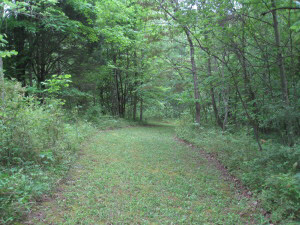 2009 Tunnelton Road Bedford, IN 47421 - Photo 6 of 17