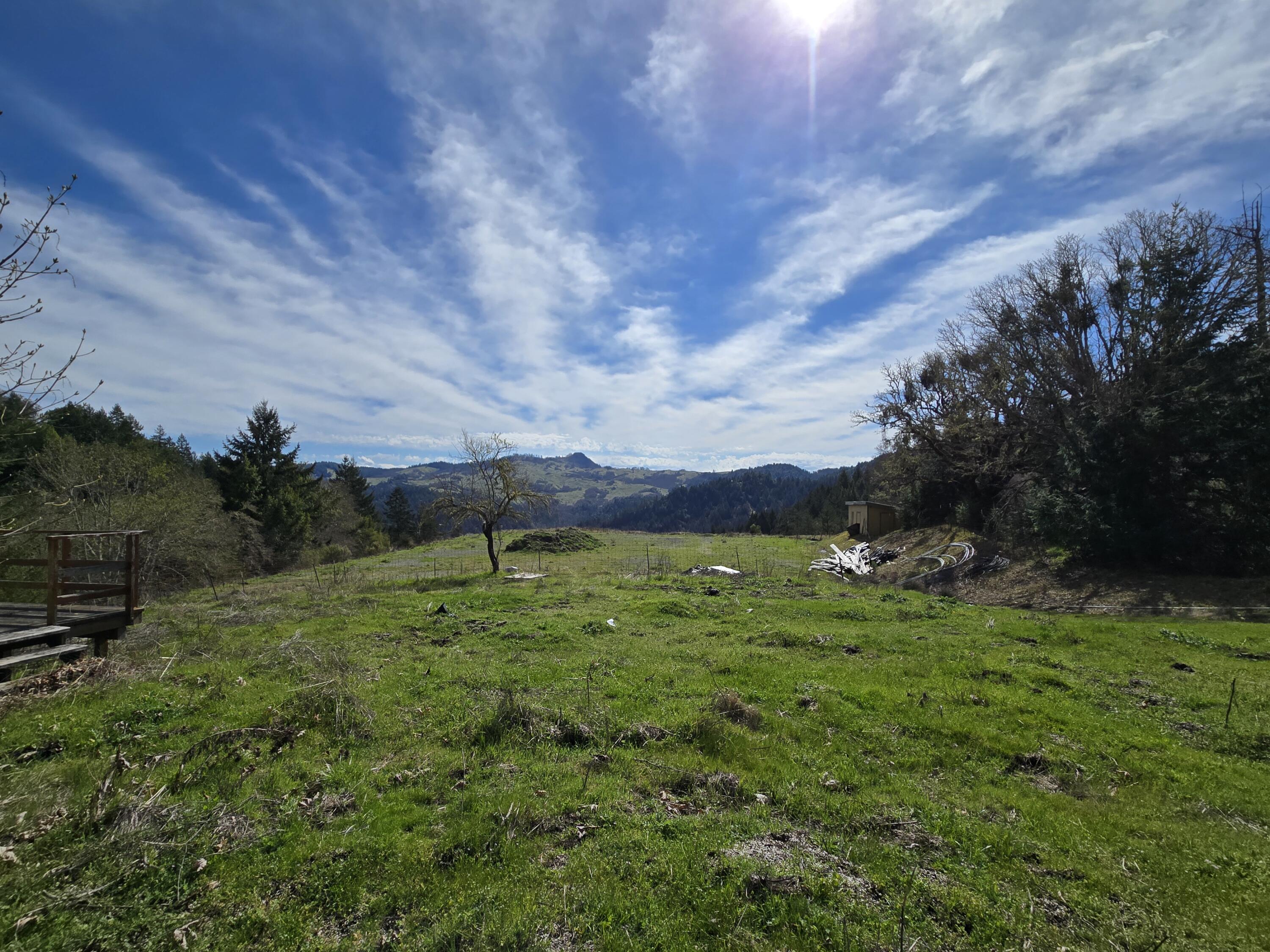 1063 Wool Mountain Road Zenia, CA 95595 - Photo 4 of 22