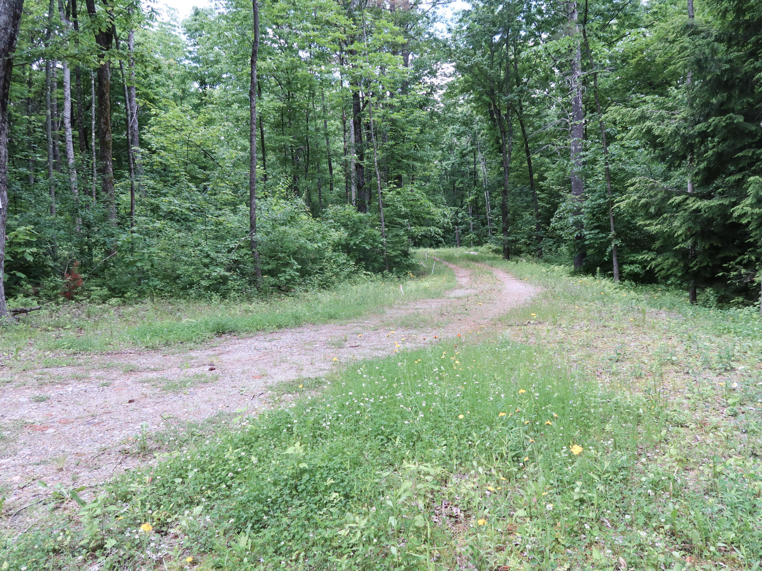 Lot 10 Oak Hill Road Litchfield, ME 04350 - Photo 4 of 23 2-IMG_3778
