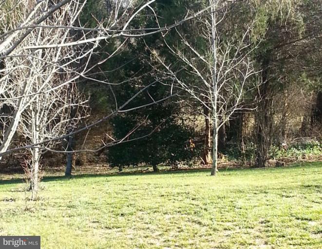 8 Ripley Road Stafford, VA 22556 - Photo 6 of 30 Exterior (Rear)