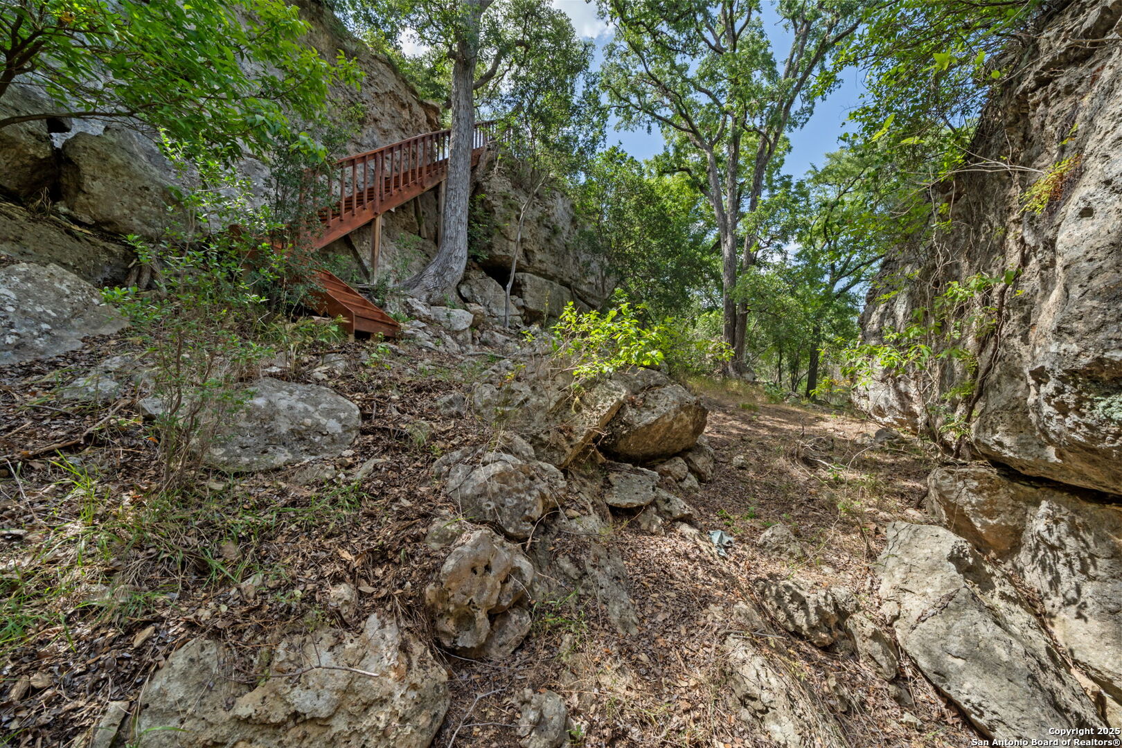172 Bluff Street Dripping Springs, TX 78620 - Photo 25 of 39 a backyard of a house with lots of green space