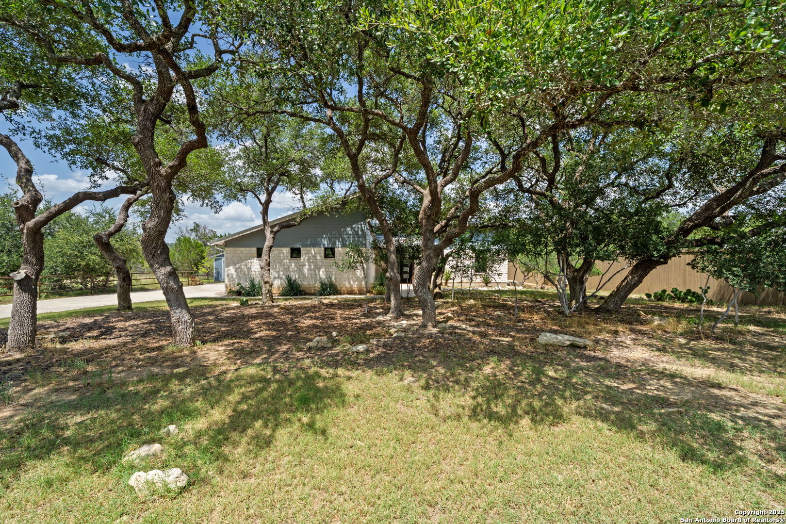 172 Bluff Street Dripping Springs, TX 78620 - Photo 4 of 39 a view of a yard with plants and trees