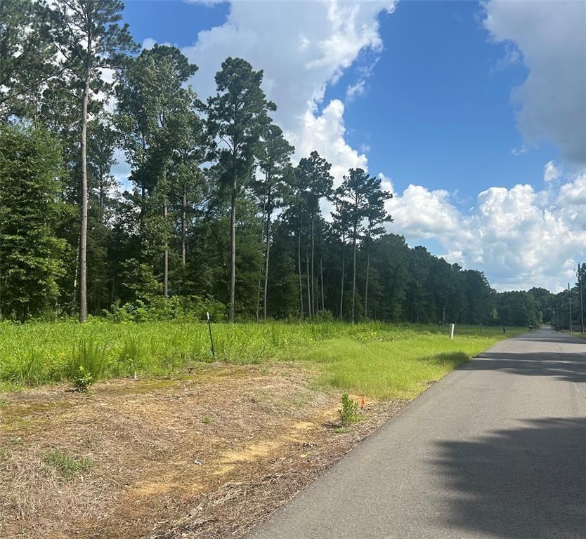 Lot 4 Pine Grove Road Stonewall, LA 71078 - Photo 1 of 3 a view of outdoor space with backyard