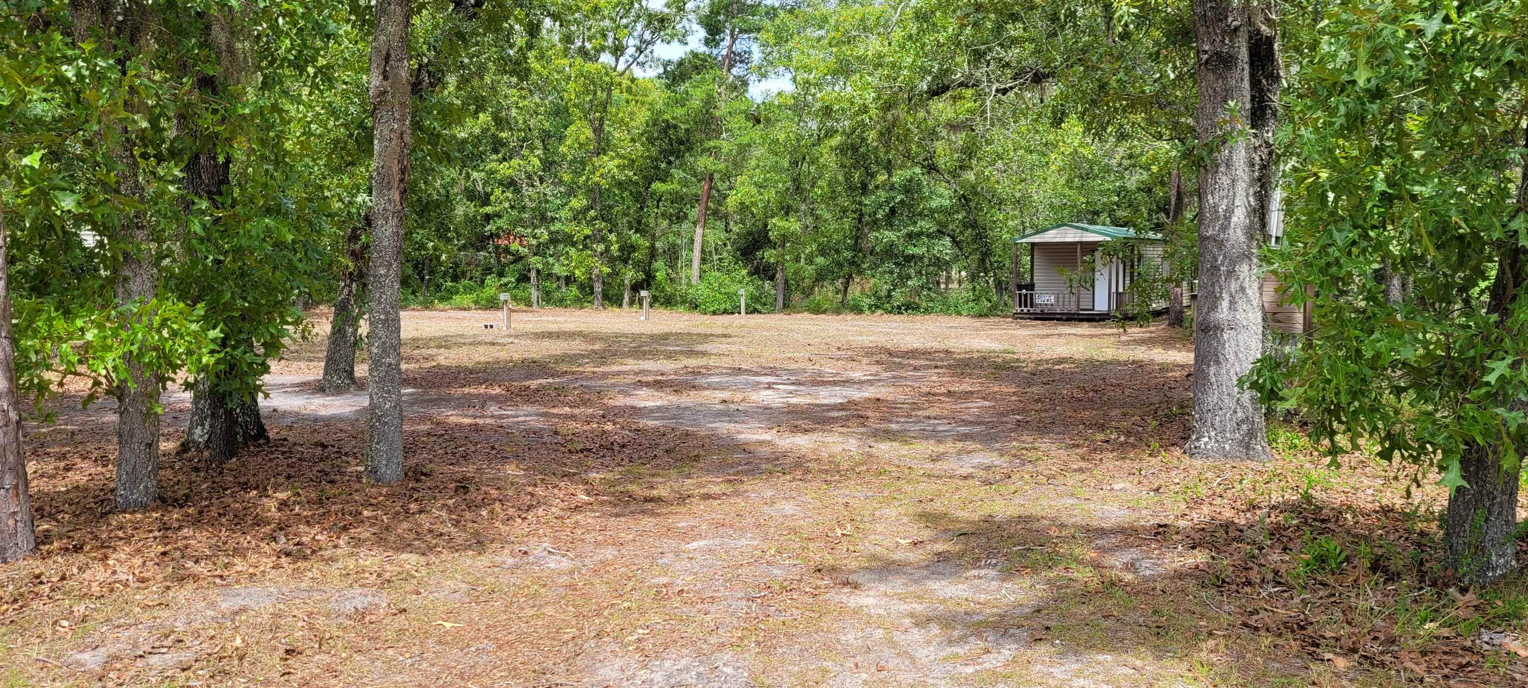 15595 Beach Road Perry, FL 32348 - Photo 3 of 8 Gallery Image 3
