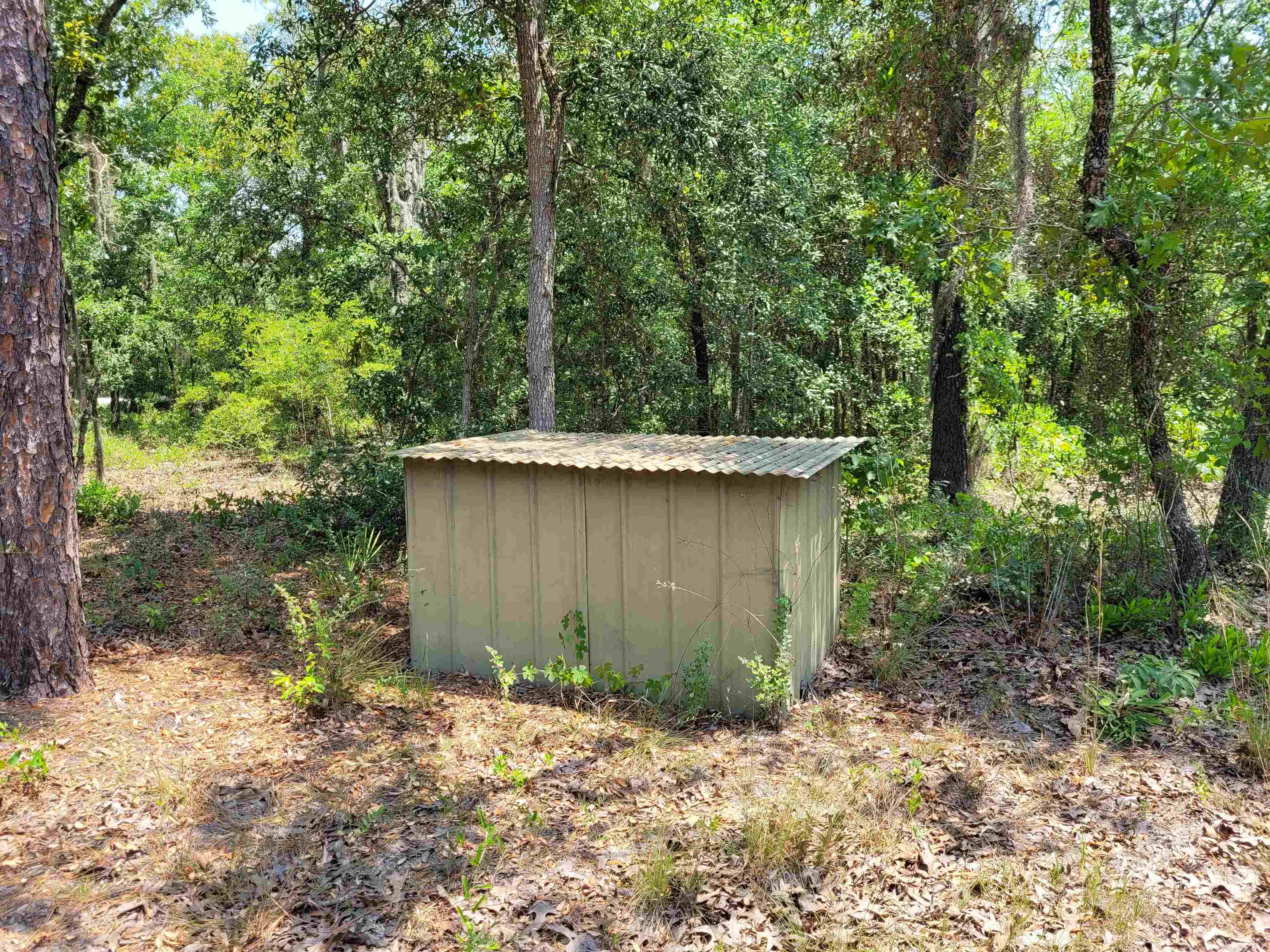 15595 Beach Road Perry, FL 32348 - Photo 5 of 8 Gallery Image 5
