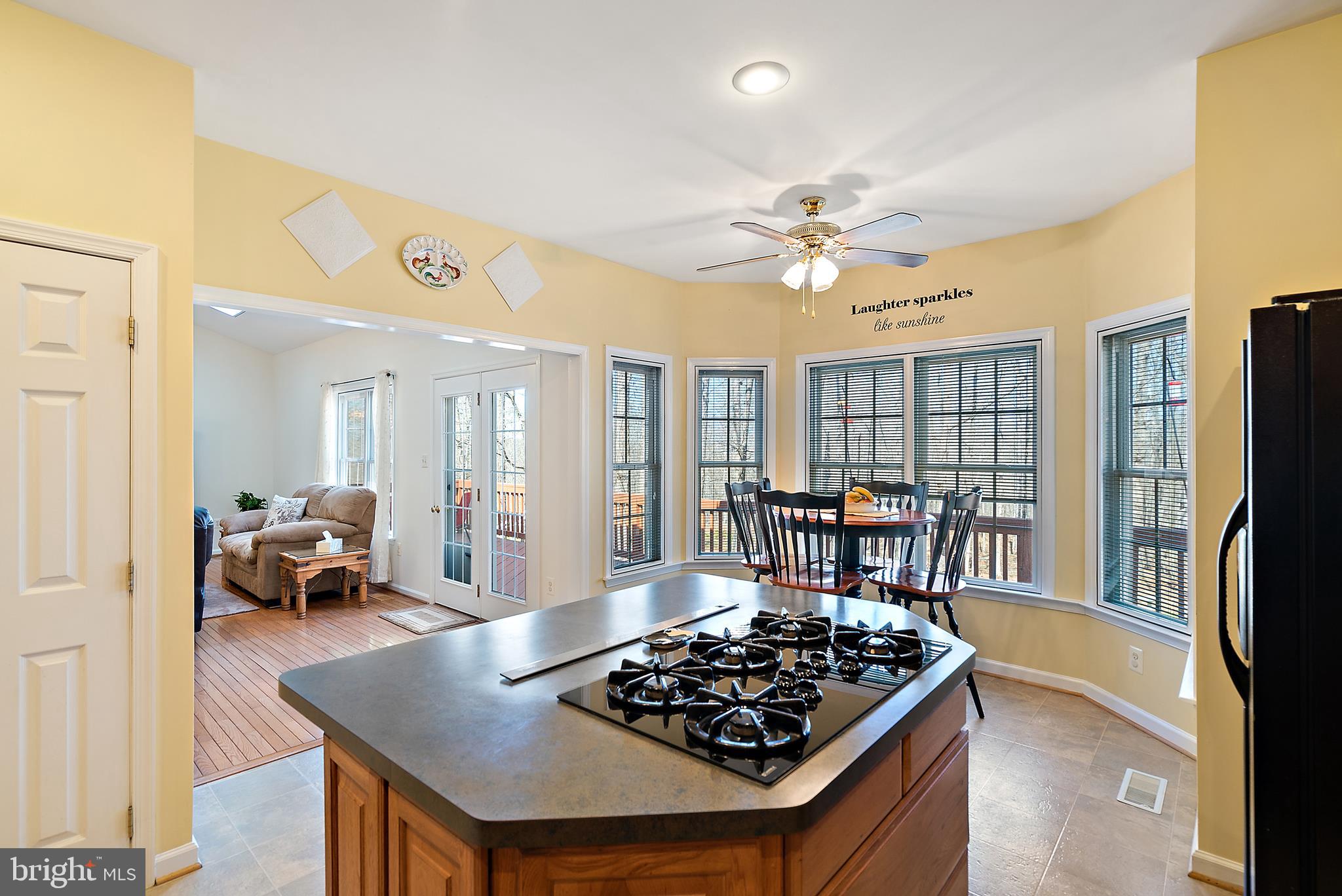 478 River Ridge Road Amissville, VA 20106 - Photo 18 of 44 Gallery Image 18