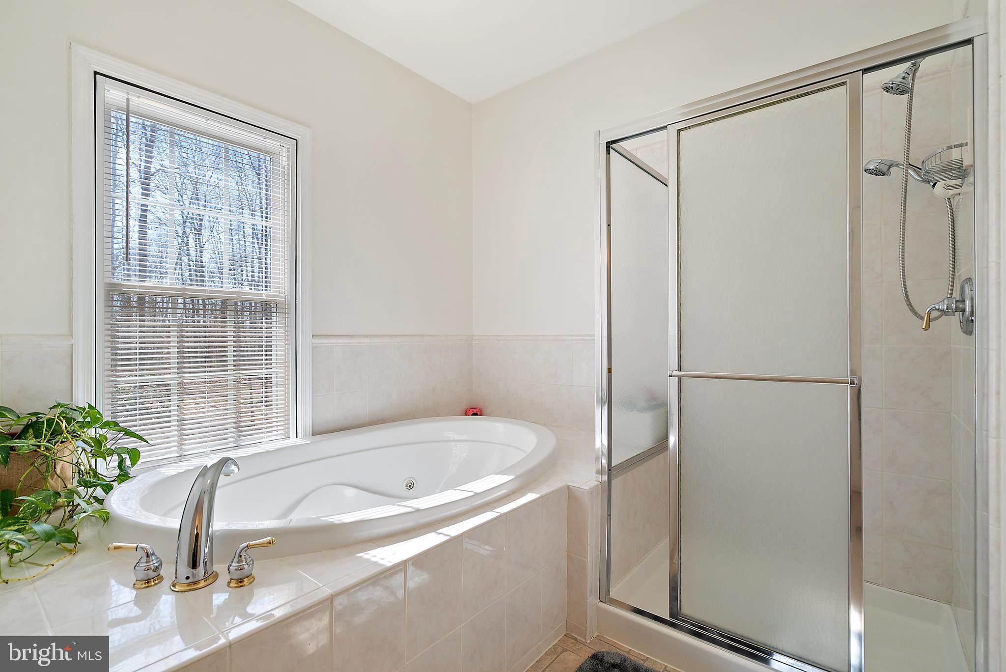 478 River Ridge Road Amissville, VA 20106 - Photo 28 of 44 Gallery Image 28
