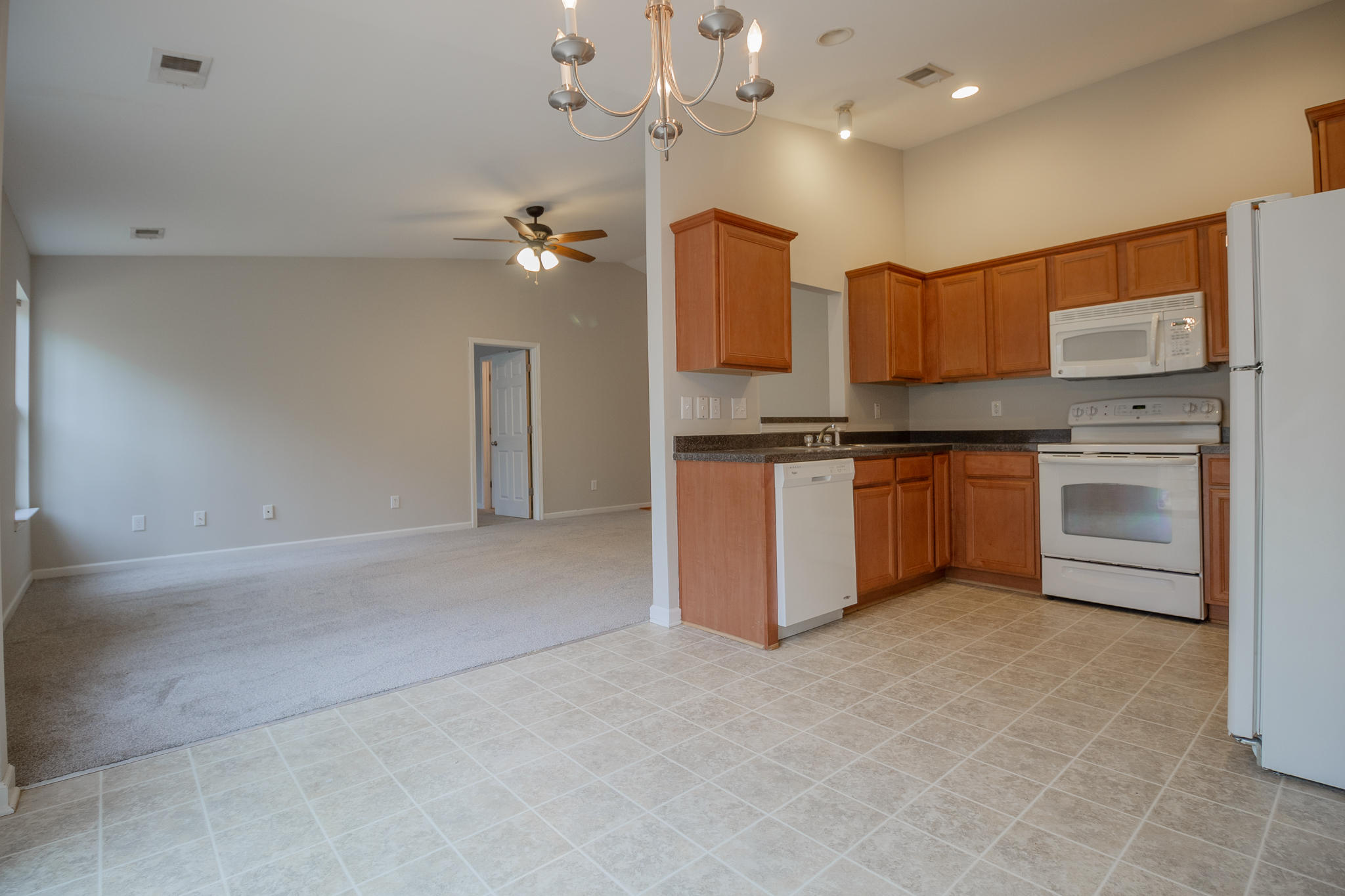 3517 Galaxy Road Ladson, SC 29456 - Photo 5 of 20 Kitchen