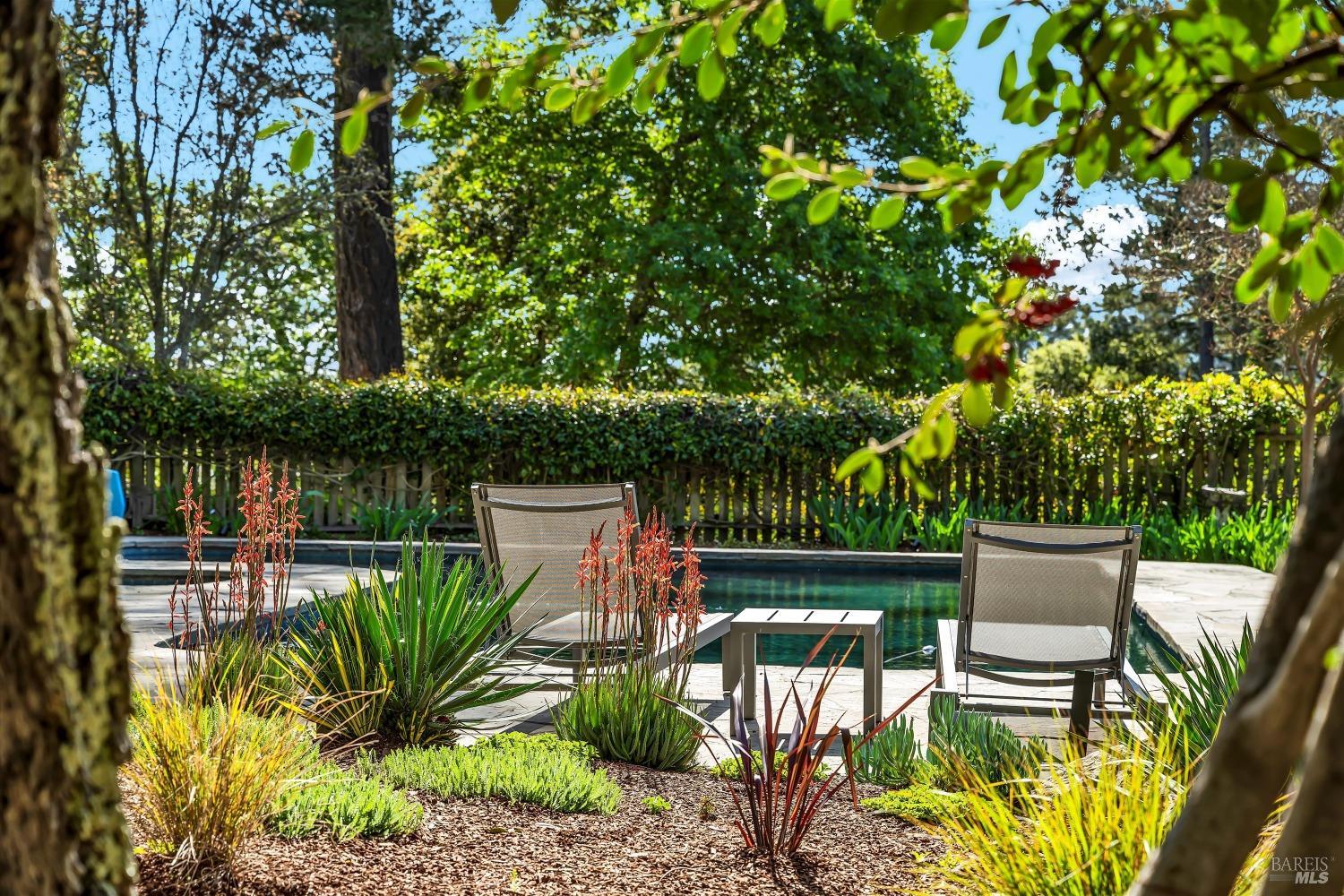 511 Kortum Canyon Road Calistoga, CA 94515 - Photo 64 of 87