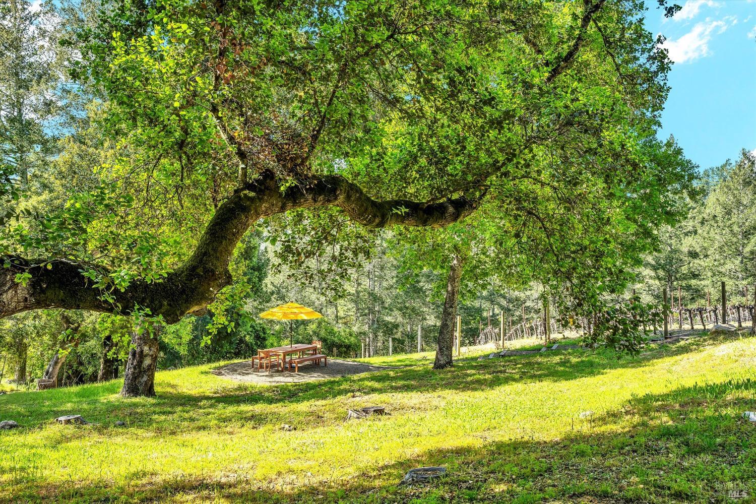 511 Kortum Canyon Road Calistoga, CA 94515 - Photo 71 of 87