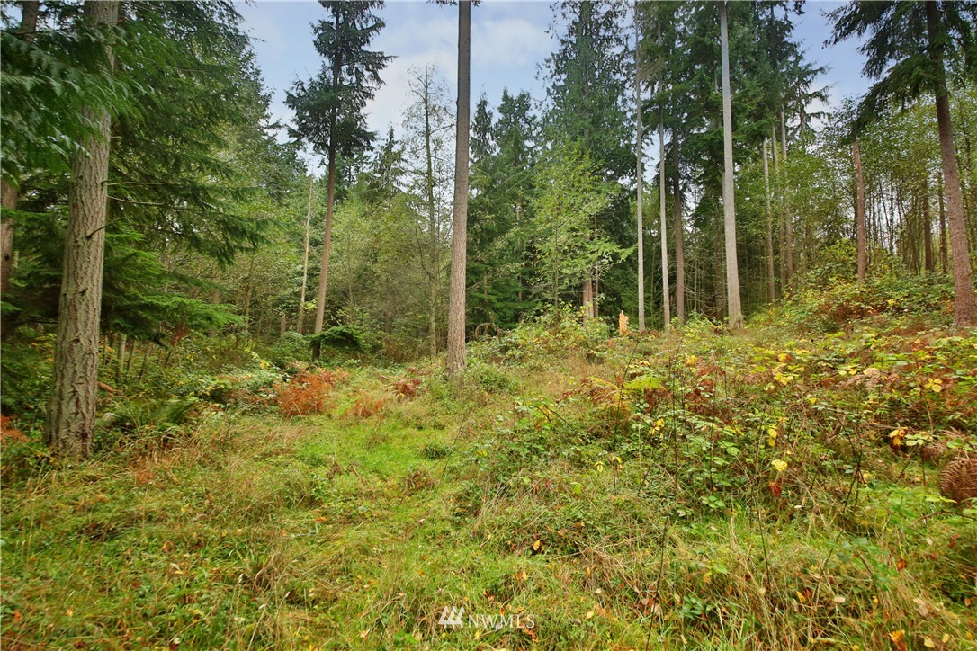 0 Jewett Road Clinton, WA 98236 - Photo 17 of 20 Gallery Image 17