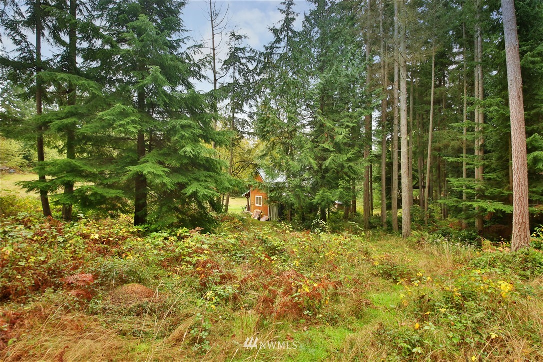 0 Jewett Road Clinton, WA 98236 - Photo 19 of 20 Gallery Image 19