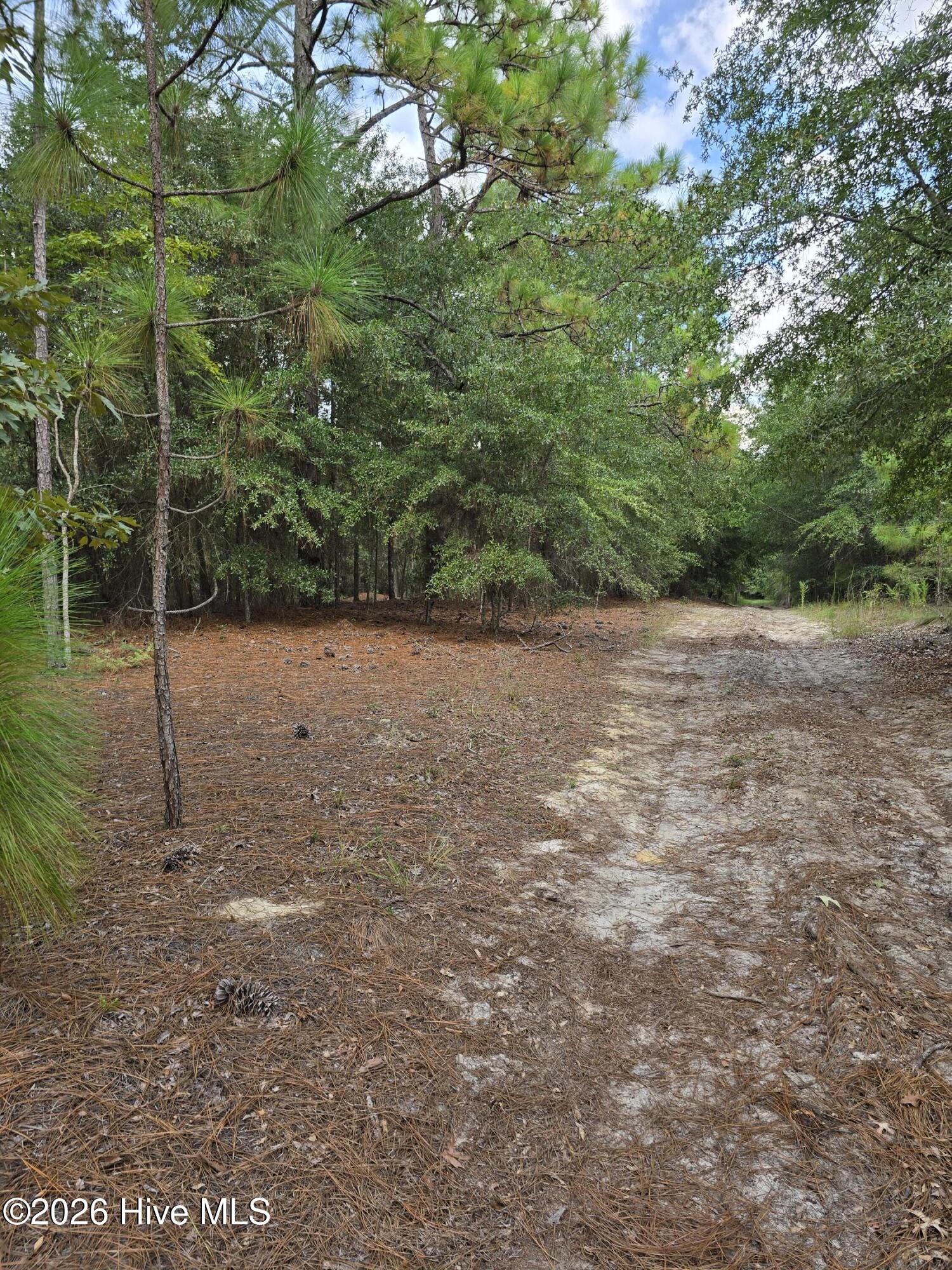 317 R J Johnson Road Martin, SC 29836 - Photo 3 of 8