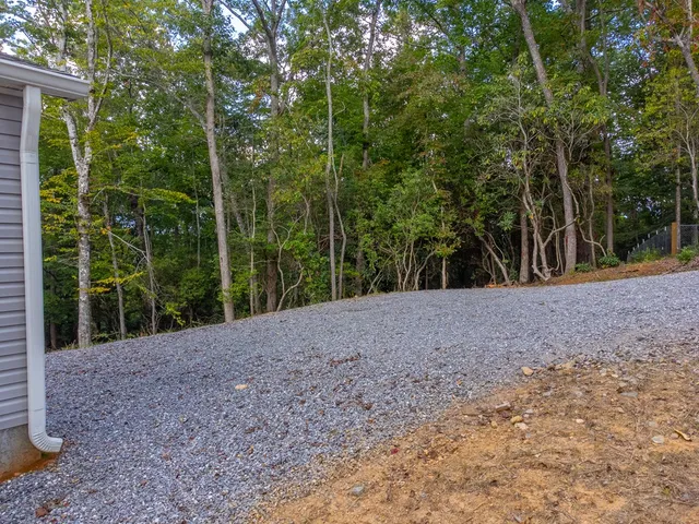 a view of a yard with plants and trees