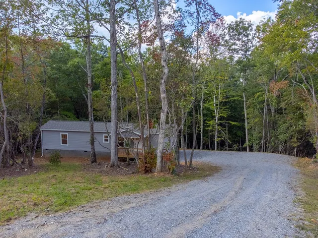 a backyard of a house with swing and plants