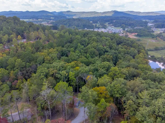 an aerial view of mountain and tree