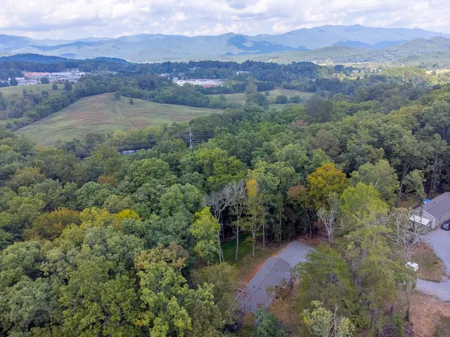 an aerial view of green landscape with trees houses and mountain view