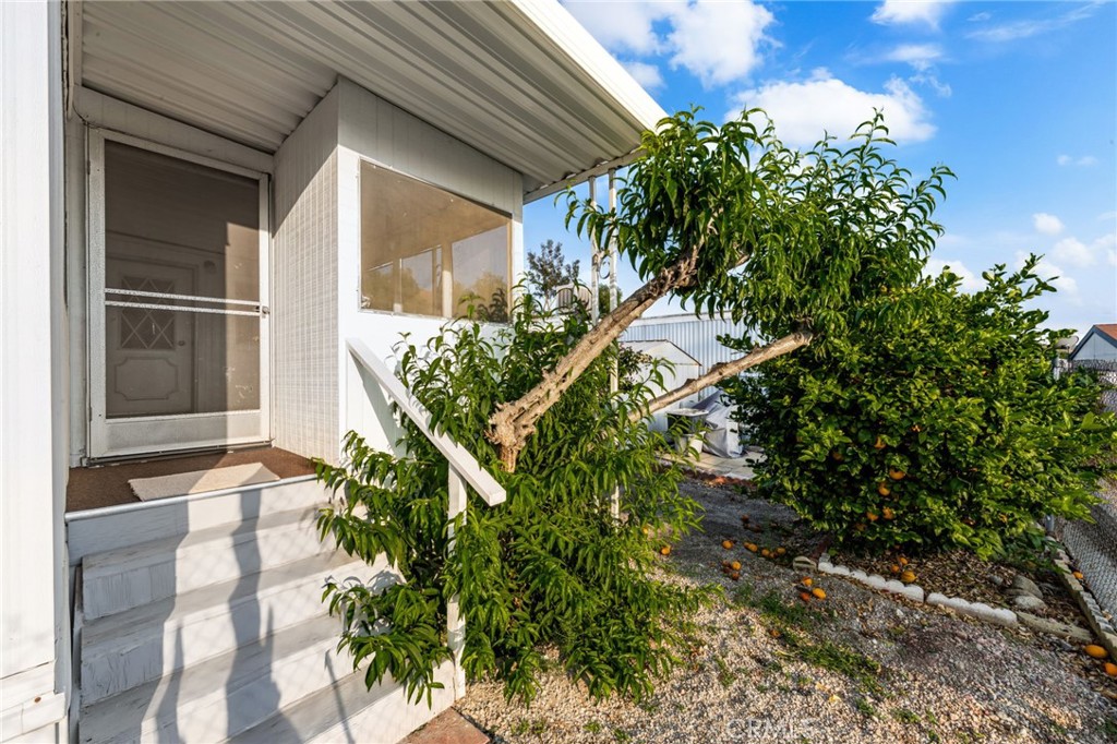 1255 Amethyst Street, Unit 32 Mentone, CA 92359 - Photo 31 of 32 a plant that is in front of a house