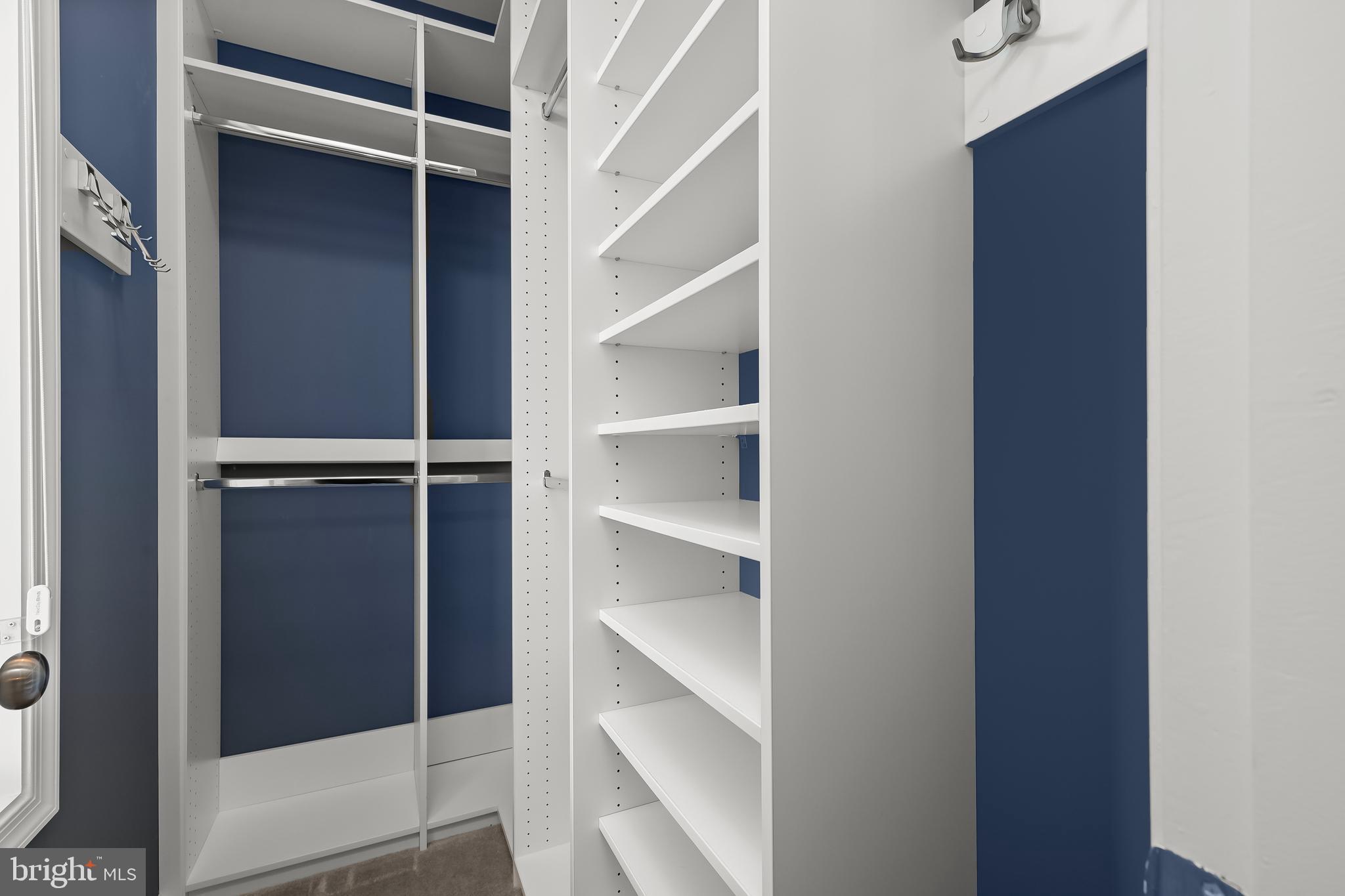 1304 Ribbon Limestone Terrace Southeast Leesburg, VA 20175 - Photo 14 of 33 Walk-In Closet #1