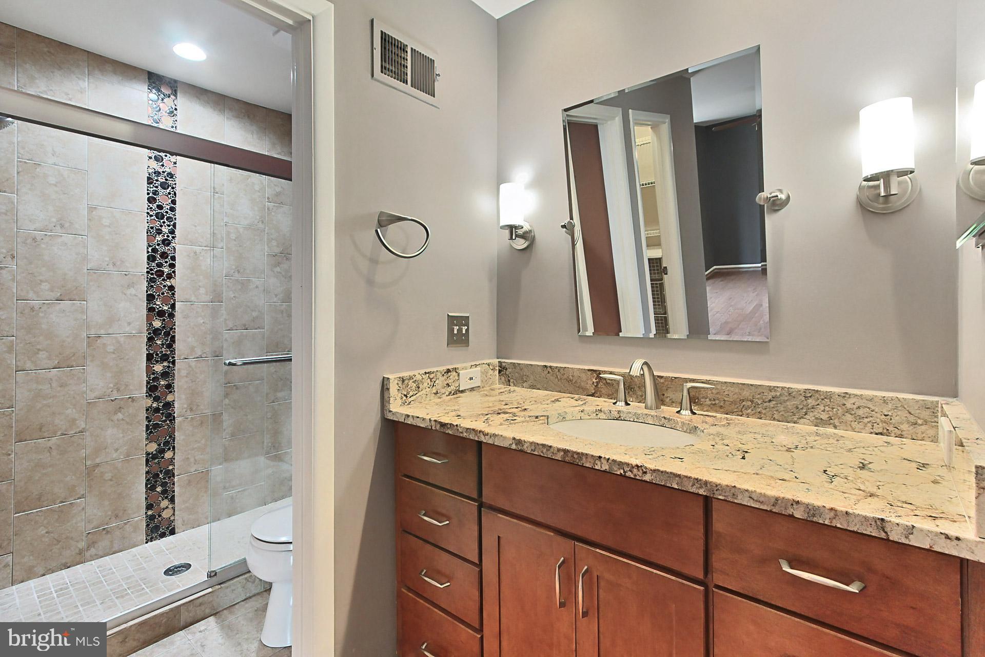5347 Aylor Road Fairfax, VA 22032 - Photo 15 of 61 Renovated Primary Bath