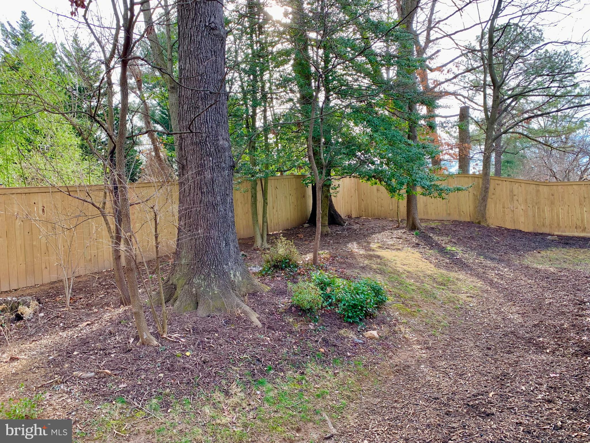 5347 Aylor Road Fairfax, VA 22032 - Photo 54 of 61 Mature Landscaping
