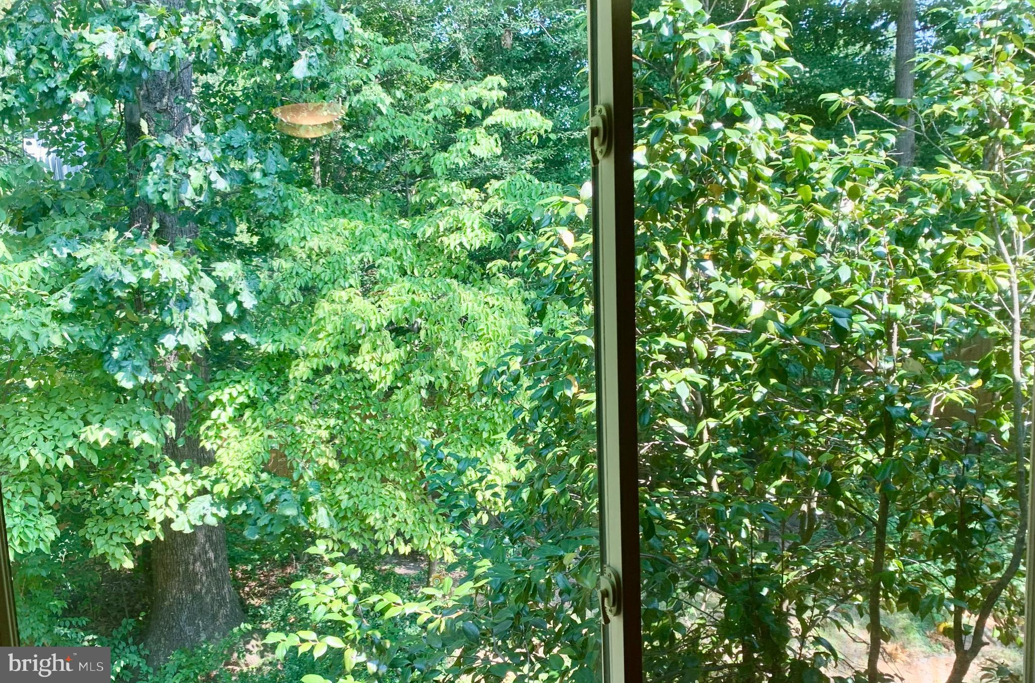 5347 Aylor Road Fairfax, VA 22032 - Photo 56 of 61 Beautiful Summer View from Primary Bedroom Window