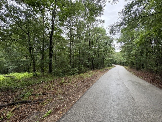 268 Cedar Valley Road Coldspring, TX 77331 - Photo 6 of 29