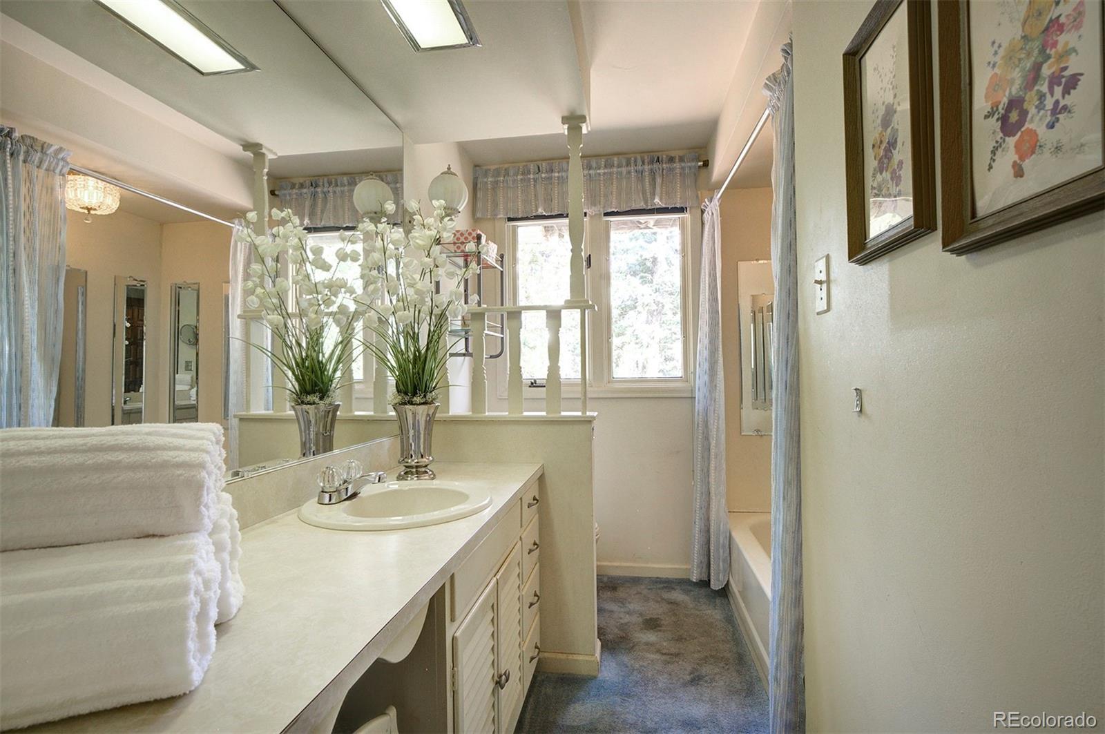 11655 Ranch Elsie Road Golden, CO 80403 - Photo 32 of 36 a bathroom with a sink a mirror and a shower