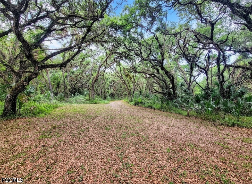 1040 Kirby Thompson Road Fort Denaud, FL 33935 - Photo 2 of 28