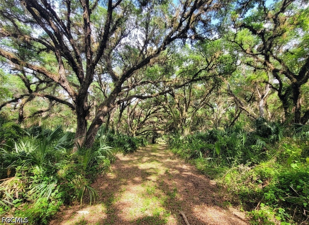 1040 Kirby Thompson Road Fort Denaud, FL 33935 - Photo 3 of 28