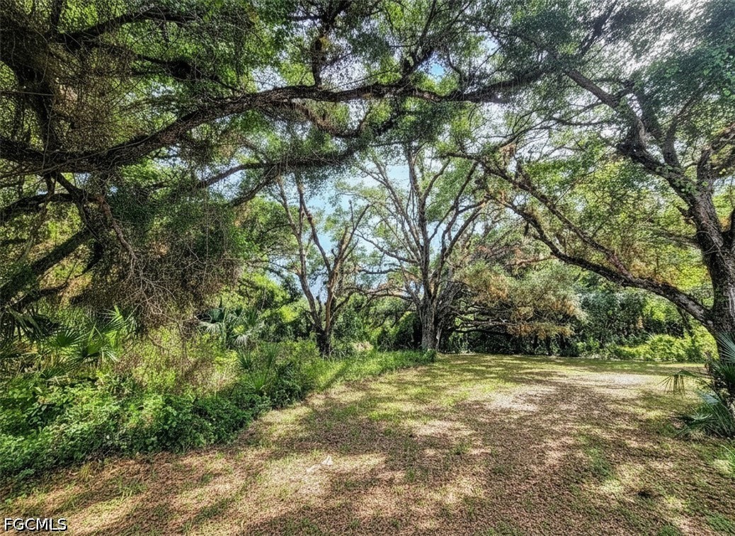 1040 Kirby Thompson Road Fort Denaud, FL 33935 - Photo 4 of 28