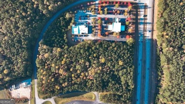 a outdoor view with a lot of flower plants