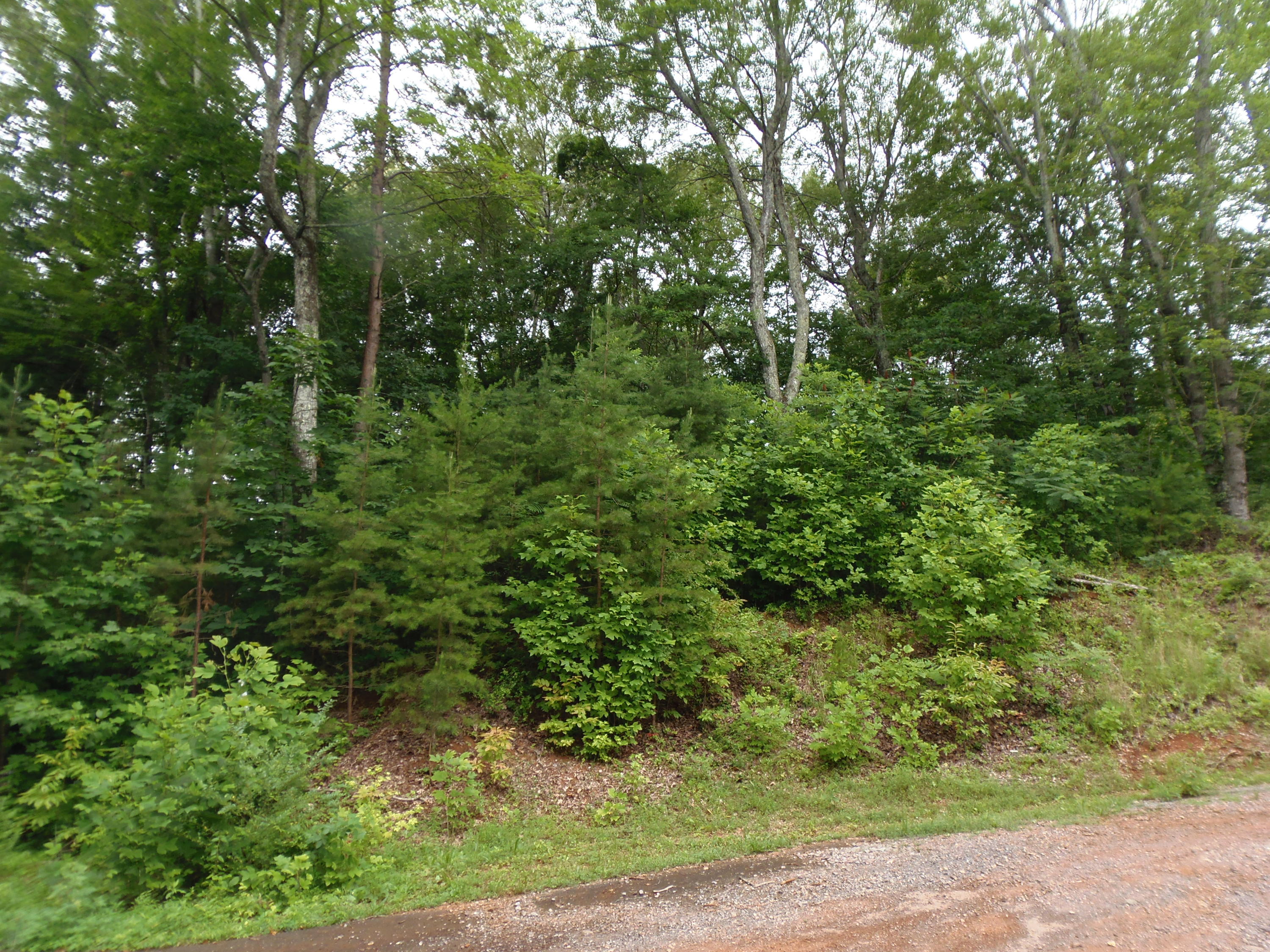 7701 Bell Stanley Road Powell, TN 37849 - Photo 4 of 9 P6300261