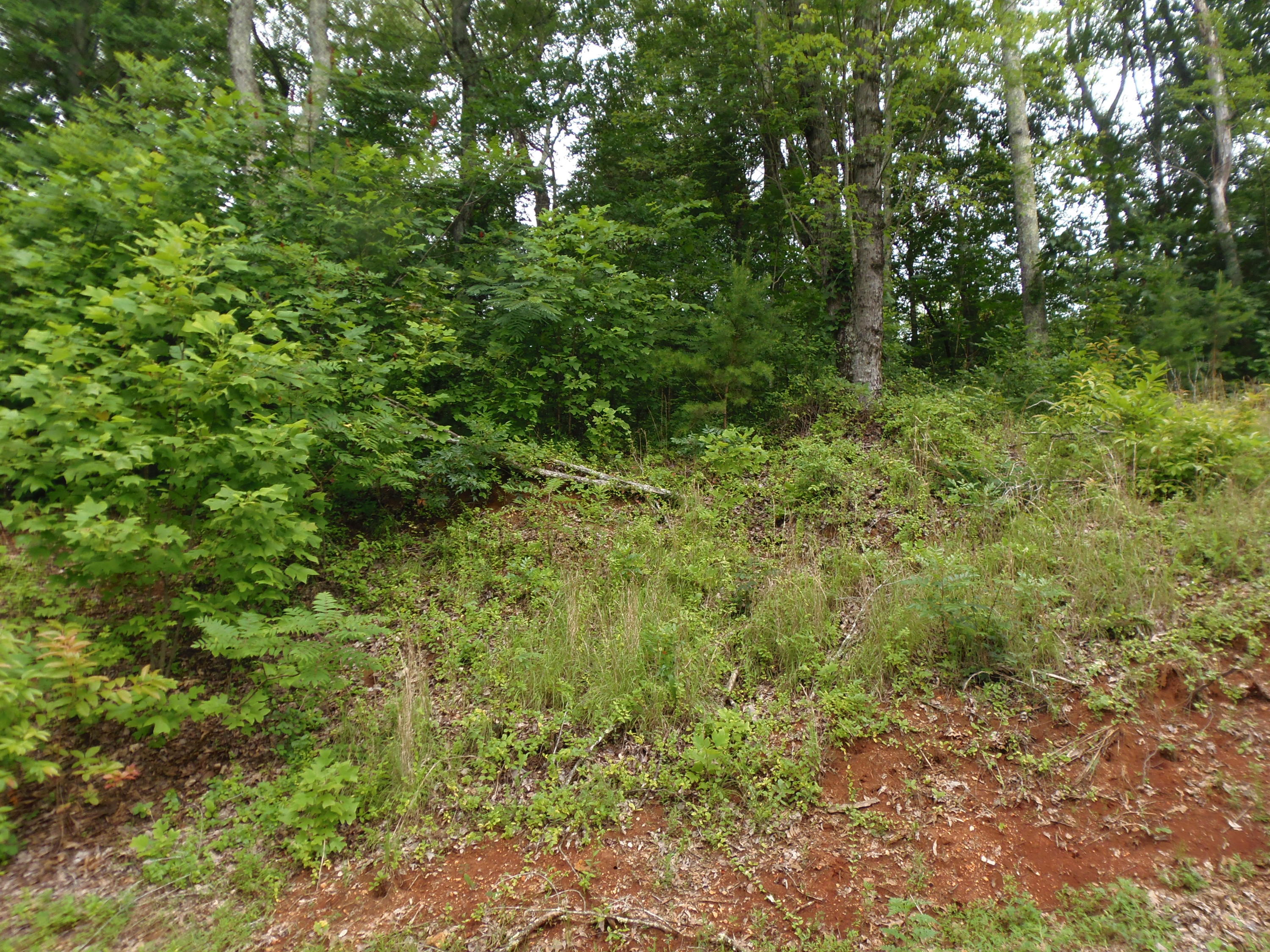 7701 Bell Stanley Road Powell, TN 37849 - Photo 6 of 9 P6300263