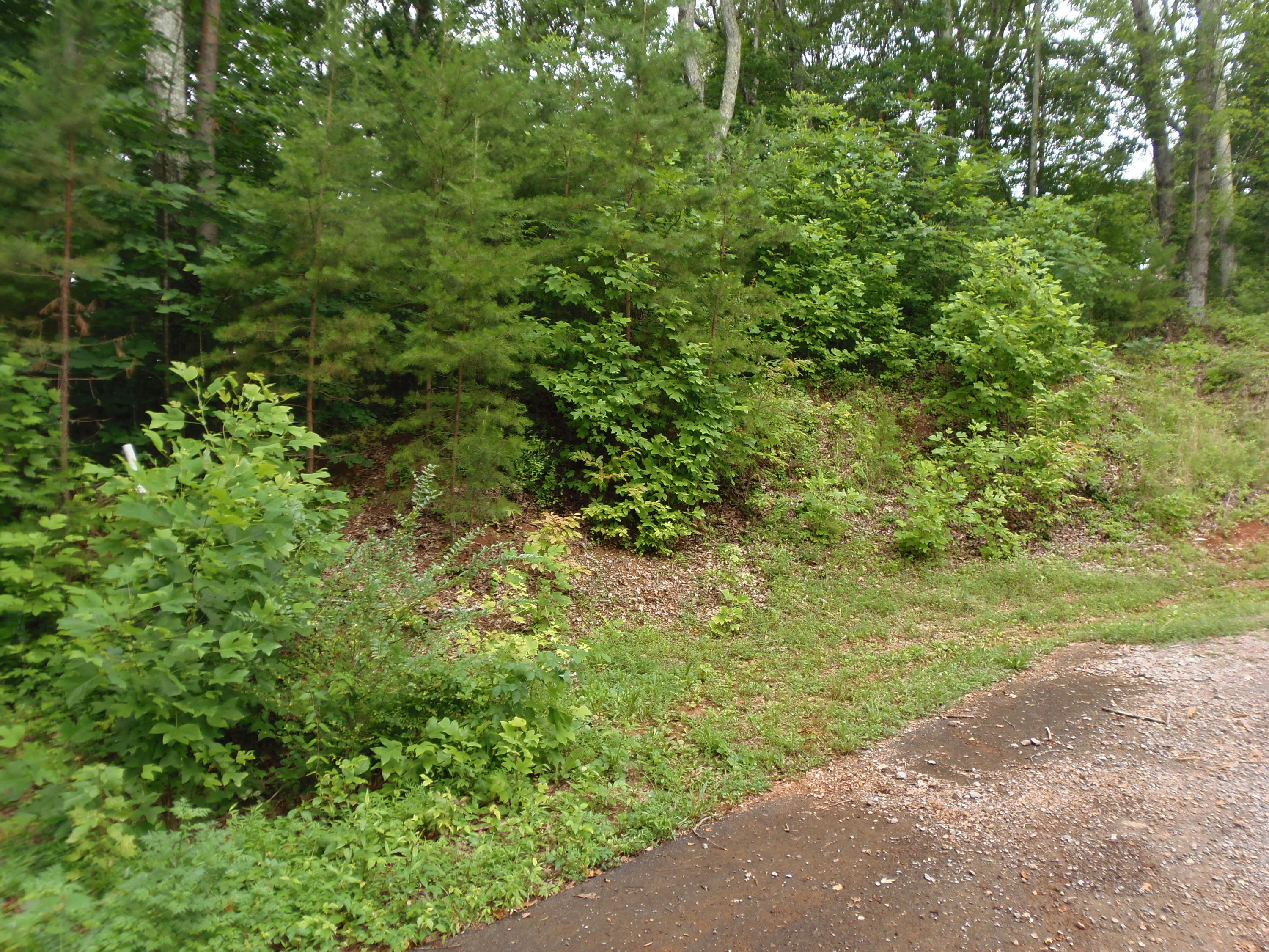 7701 Bell Stanley Road Powell, TN 37849 - Photo 9 of 9 P6300267
