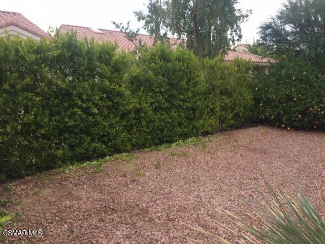 a view of a yard with a tree